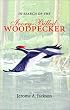 In Search of the Ivory-Billed Woodpecker