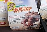 【野菜苗】【種イモ】秋ウコン 200g 2パックセット 【送料込】 【野菜苗】【種イモ】秋ウコン 200g 2パックセット 【送料込】