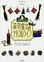 薬草魔女のナチュラルライフ―ハーブを楽しむ・ヘルシーハーブ活用術