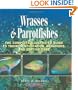 Wrasses & Parrotfishes: The Complete Illustrated Guide to Their Identification, Behaviors, and Captive Care (Reef Fishes)