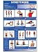 Stretching-Upper Body Laminated