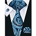 Hi-Tie Mens Stylish Paisley Tie Hanky Cufflinks set