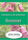 Naturfotos in den Jahreszeiten - Sommer, 1 CD-ROM
