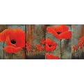 Poppy Sequence Canvas Wall Art - 18x40"