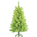 Cashmere Tree Lime Green