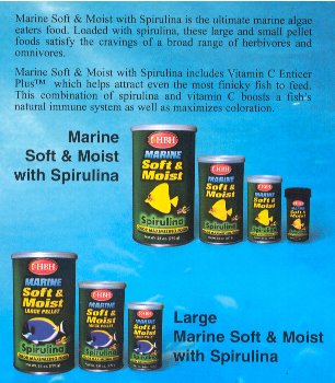 Buy HBH Enterprises Marine Spirulinal Soft and Moist 1oz
