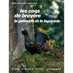 Les coqs de bruy�re, la gelinotte et le lagop�de