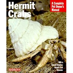 Hermit Crabs: Everything About Anatomy, Ecology, Purchasing, Feeding, Housing, Behavior, and Illness