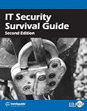 IT Security Survival Guide, Second Edition