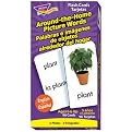 Around-the-Home Picture Words Flash Cards