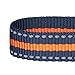 Blueberry Pet 4 Colors Stripe Dog Leash with Soft & Comfortable Handle, 5 ft x 3/4