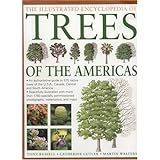 illustrated encyclopedia of trees of the americas an authorative guide to over 500 native trees of the usa canada