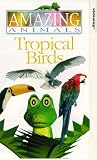 Review Dorling Kindersley Vision Ltd.  / Amazing Animals - Tropical Birds