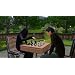 The Sims 3