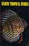 Exotic Tropical Fishes