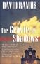The Gravity of Shadows