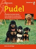Produkt-Bild: Pudel