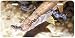Snook Rising - Art Print - License Plate Tag By Don Ray From Airstrike