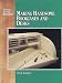 Book Making Handsome Bookcases and Desks; Secrets of Successful Woodworking Series