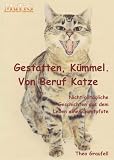 Gestatten K�mmel. Von Beruf Katze. - Nicht allt�gliche Geschichten aus dem Leben einer Samtpfote - Theo Graufell