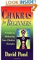 Chakras for Beginners: A Guide to Balancing Your Chakra Energies