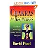 Chakras for Beginners: A Guide to Balancing Your Chakra Energies (For Beginners (Llewellyn's))