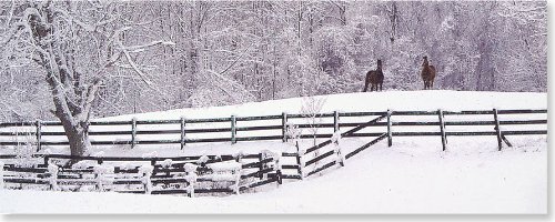 Pasture in Winter Holiday Boxed Cards (Christmas Cards, Holiday Cards, Greeting Cards) (Panoramic Holiday Card Series)