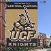 UCF Knights 28x40 Banner Flag