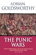 Punic Wars