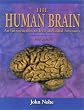 The Human Brain: An Introduction to Its Functional Anatomy