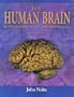 The Human Brain: An Introduction to Its Functional Anatomy