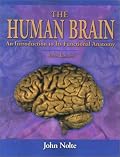 The Human Brain: An Introduction to Its Functional Anatomy
