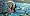 Finding Nemo (2 Disc Collector's Edition) [2003]