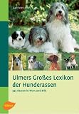 cover of Ulmers großes Lexikon der Hunderassen. 345 Rassen im Porträt