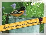 Birds of the Northwoods Notecards