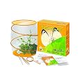 Fascinations World Alive Butterfly Insect Kit