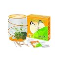 World Alive Butterfly Kit