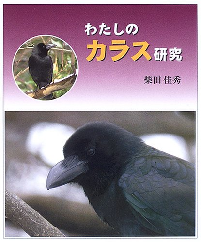 わたしのカラス研究 (やさしい科学)