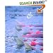 The Behavior And Ecology Of Pacific Salmon And Trout