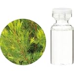 生活の木 C ティートゥリー エッセンシャルオイル 10ml