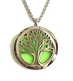 Diffuser Necklace, Denee Aromatherapy Essential Oil Diffuser Necklace Jewelry, Hypo-Allergenic 316L Surgical Grade Stainless Steel Locket Pendant with 24