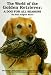 golden retriever - The World of the Golden Retriever: A Dog for All Seasons