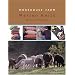 Morehouse Farm Merino Knits: More than 40 Farm-Fresh Designs