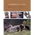 Morehouse Farm Merino Knits: More than 40 Farm-Fresh Designs