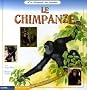 Le chimpanz�