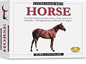 Skullduggery Inc. Eyewitness Kit Horse Casting Kit