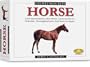 Skullduggery Eyewitness Kit Horse Casting Kit