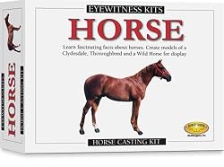 Skullduggery Inc. Eyewitness Kit Horse Casting Kit