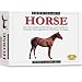 Skullduggery Eyewitness Kit Horse Casting Kit