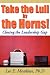 Book Take the Lull By the Horns!: Closing the Leadership Gap